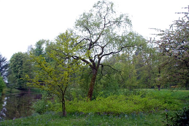 landgoed zevenberg_37